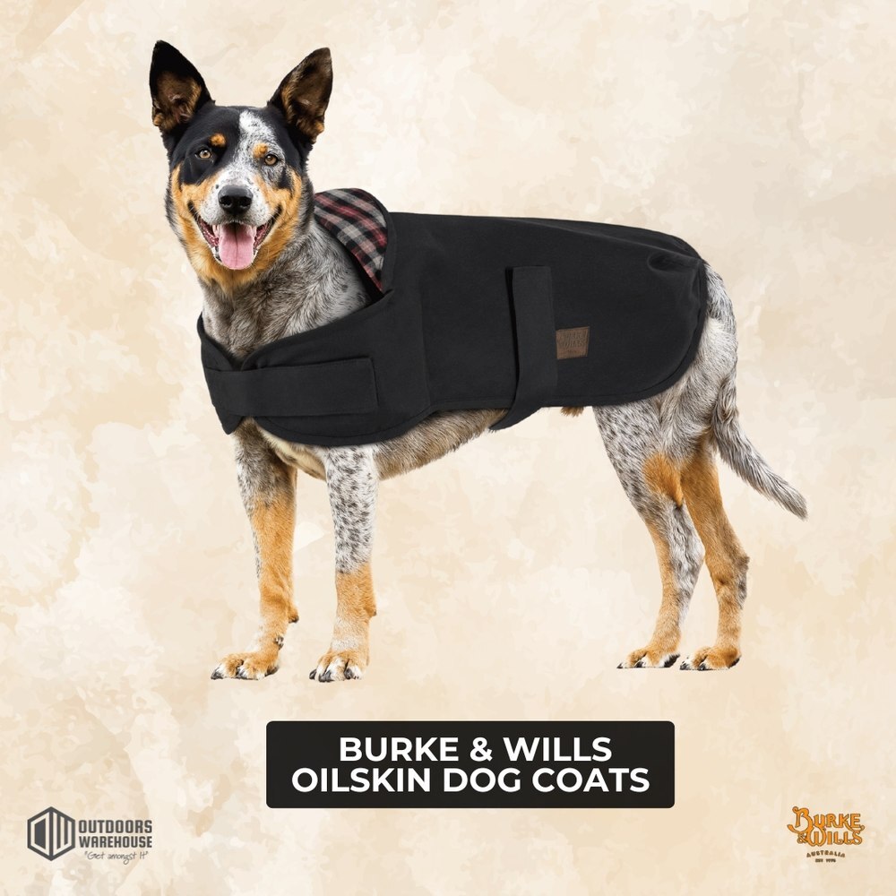 Burke and Wills oilskin dog coat